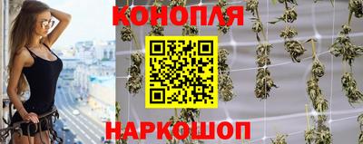 гашик Жуковский