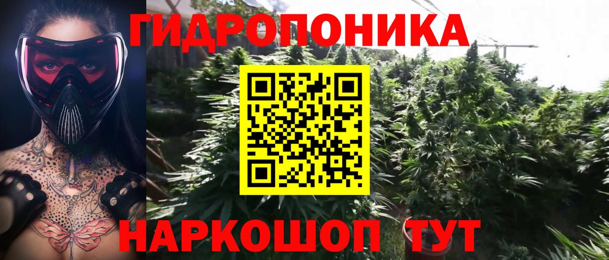 Канабис Amnesia Щёкино